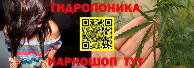 спиды Можга